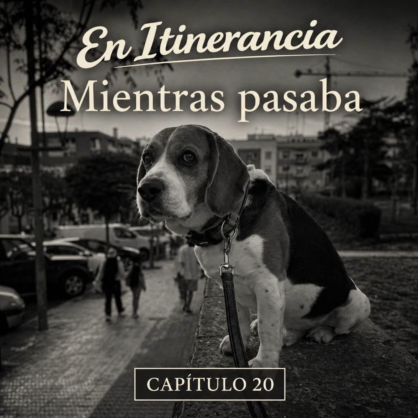 Mientras pasaba episode artwork