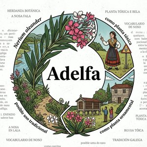 Adelfa 14/07/26