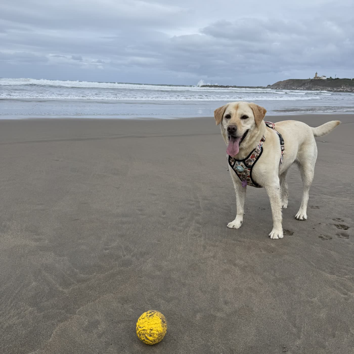 1.Presentación en la Playa